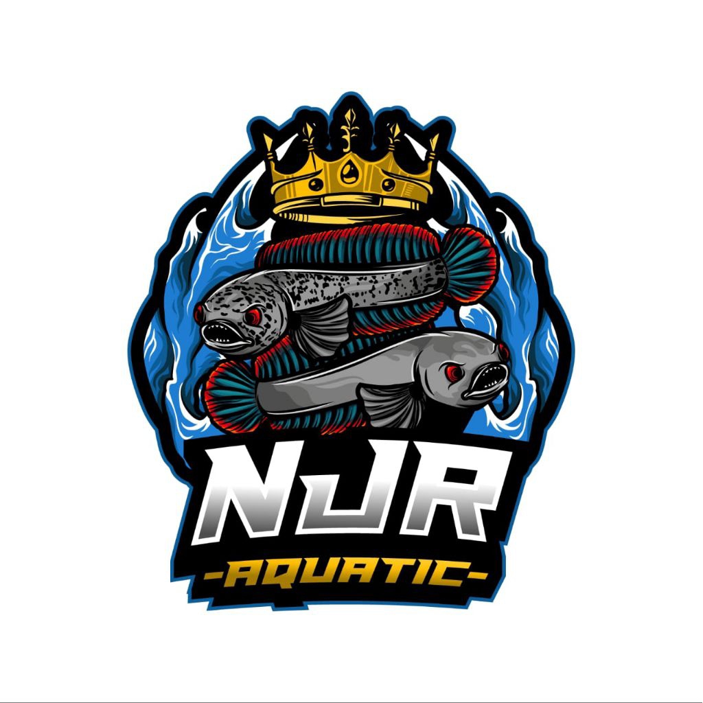 Ketapang Cair 100 mili Premium | Formula Racikan Untuk Ikan Hias & Channa andrao dlln