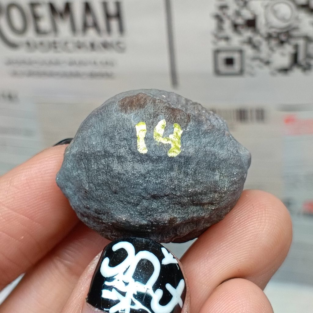 Muncang Adu Manohara Childs kode 14