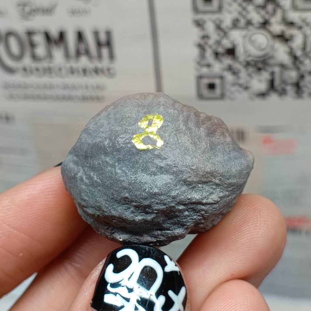 Muncang Adu Manohara Childs kode 8