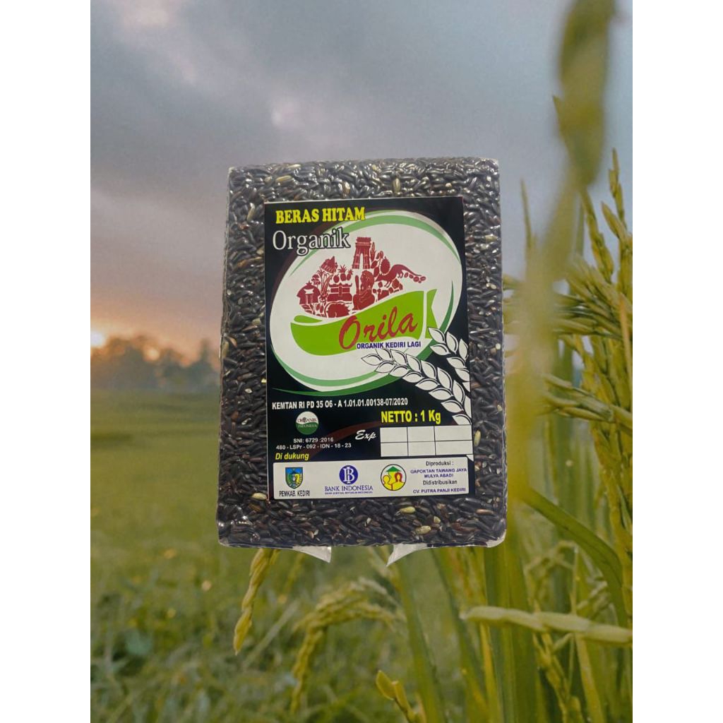 

BERAS HITAM ORGANIK / BERAS ORGANIK / BERAS SEHAT / BERAS DARI PETANI
