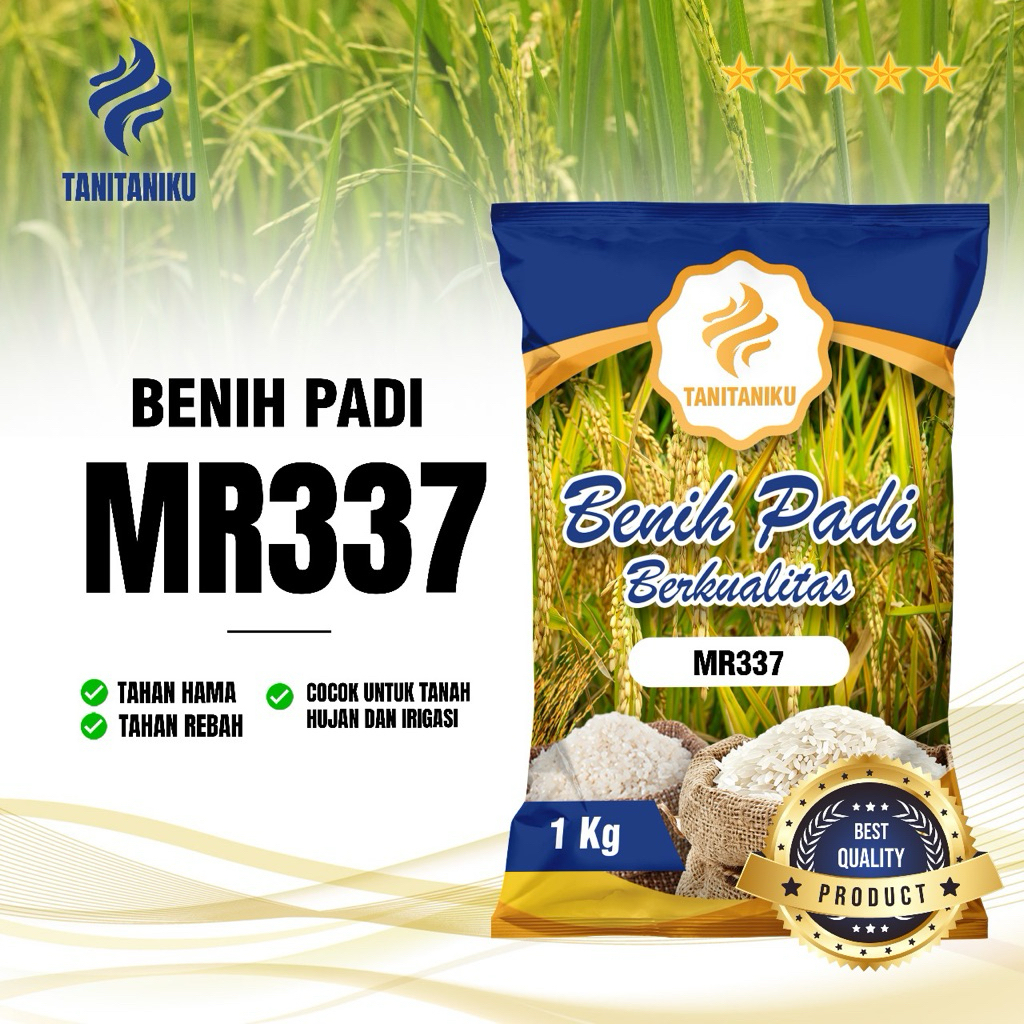 Benih padi bibit padi MR337 original kemasan 5 kg