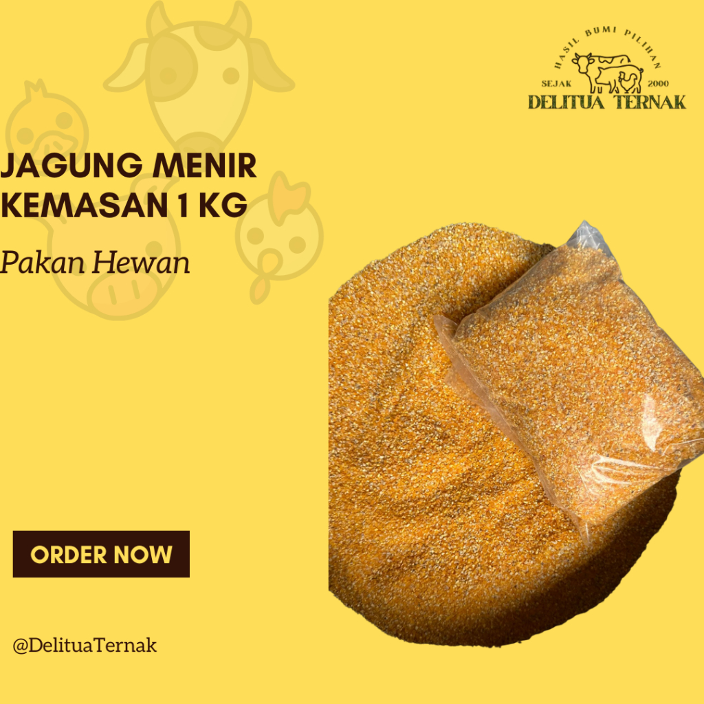 

Jagung Menir Cap Itik II Kemasan 1kg