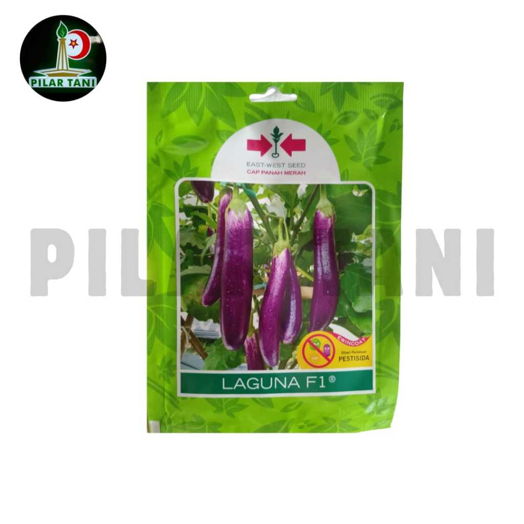 Benih Terong Ungu | Terong Lezata & Terong Laguna | isi 400 btr