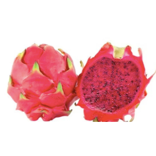 

Buah Naga Merah Fresh 1 Kg