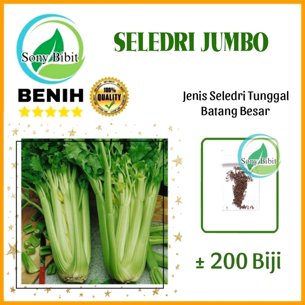 Benih Seledri Jumbo Tunggal Batang Besar Unggulan Petani