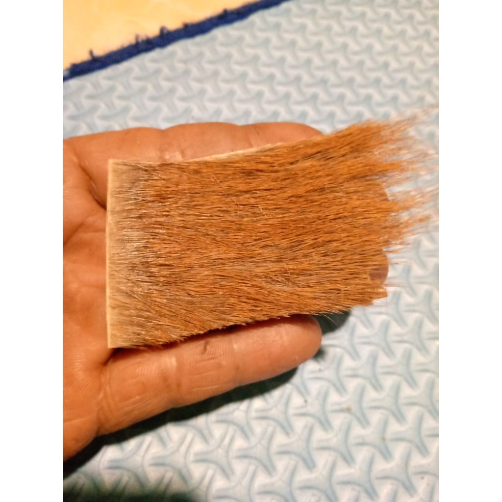 kulit kijang asli bahan raja