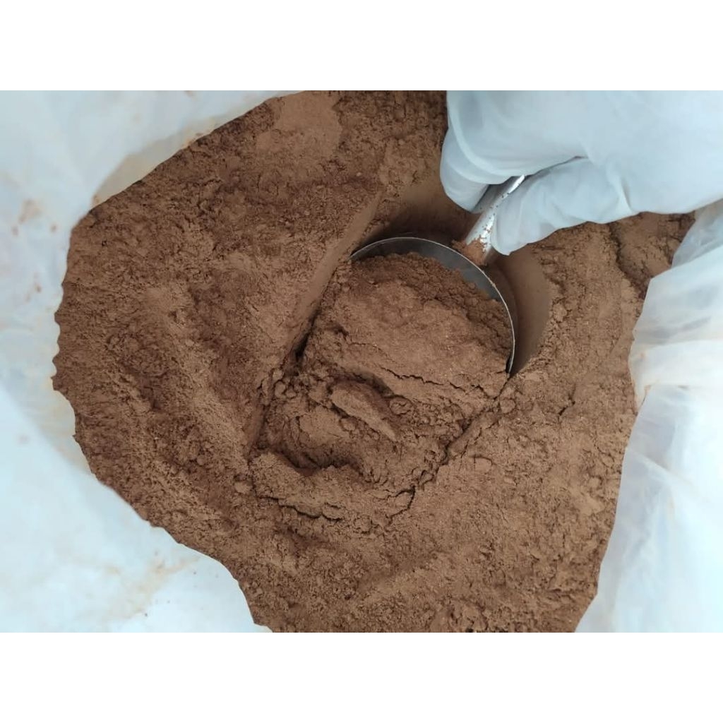 

Bubuk Buah Mengkudu 250gr / Organik / Superfood / foodgrade / Multivitamin