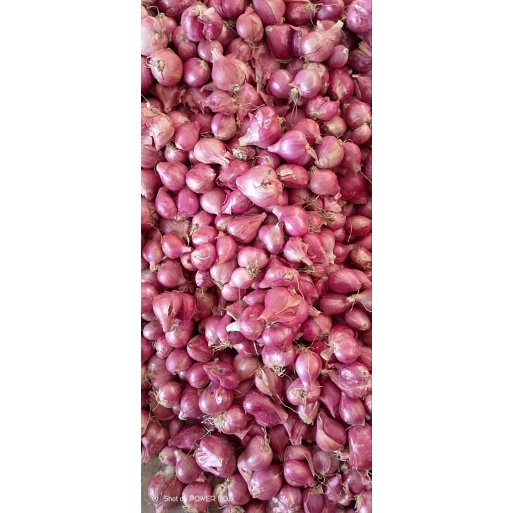 

bawang merah kecil campur varian 250g 500g 1000g