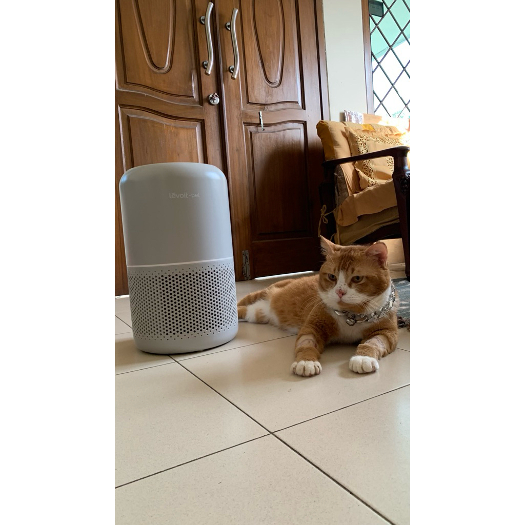 levoit P350 pet air purifier