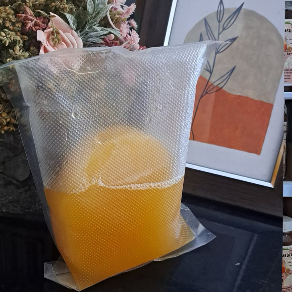 STARTER + SCOOBY KOMBUCHA AKTIF | BAKTERI KOMBUCHA, STARTER KOMBUCHA