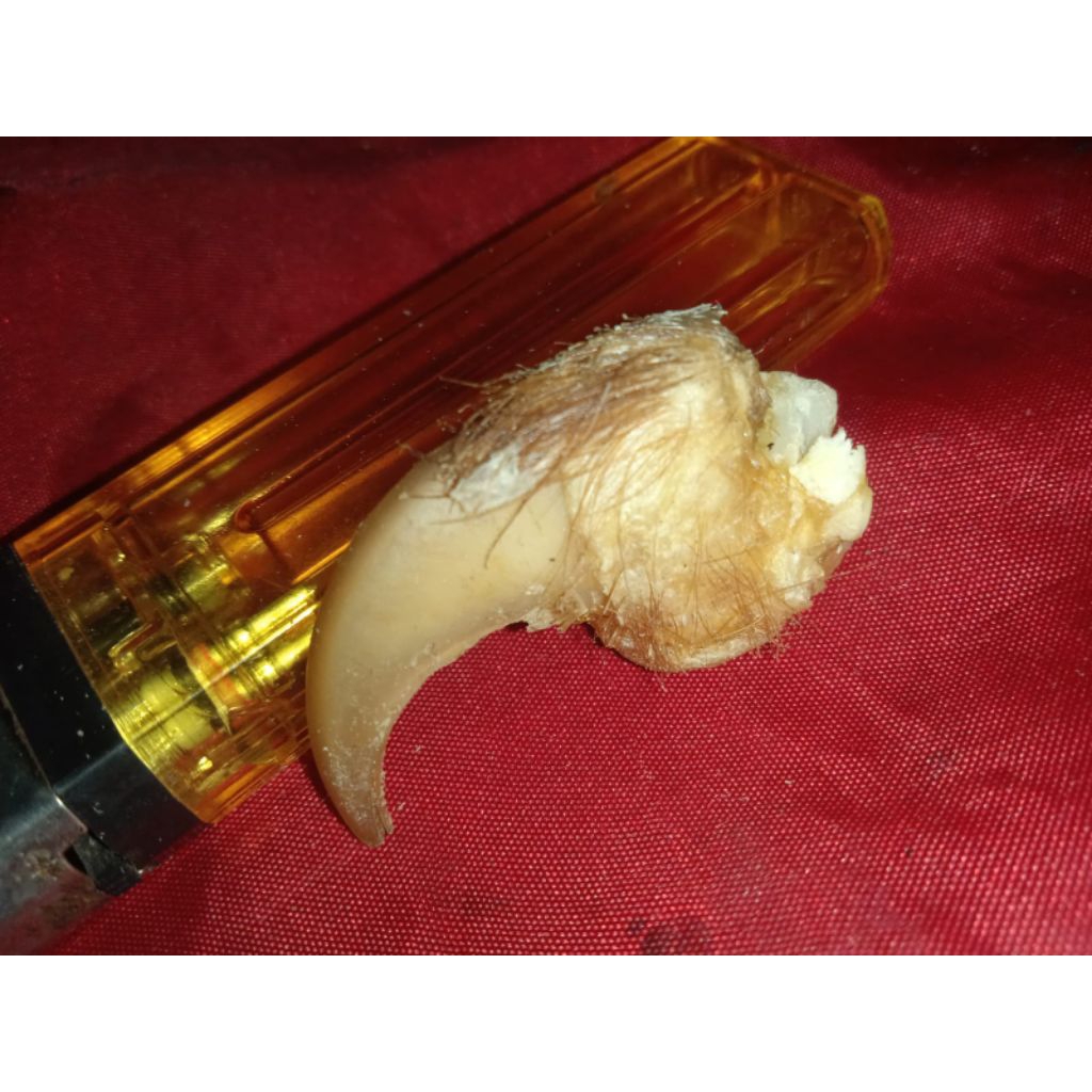 liontin kalung pria khu.. khu h.m