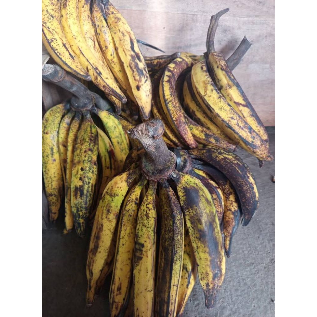 pisang tanduk simadu sukabumi