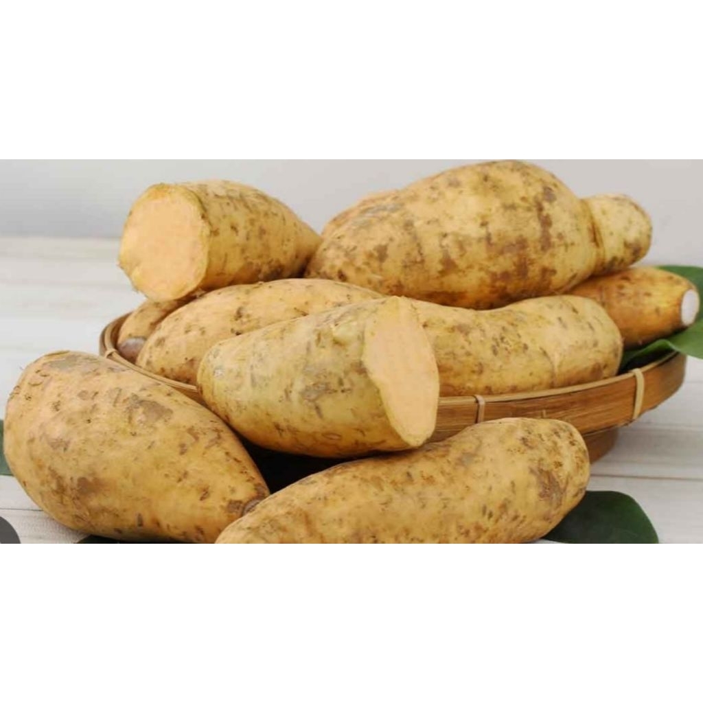 

Ubi Madu Cilembu 1Kg