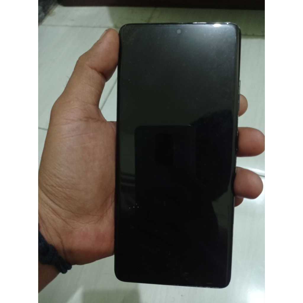 LCD Samsung S21 Ultra ORI (Minus)