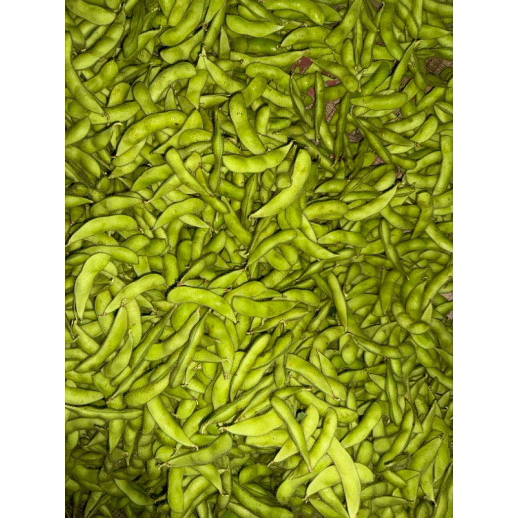 Edamame Segar Manis 1kg - Kacang Kedelai Jepang Premium