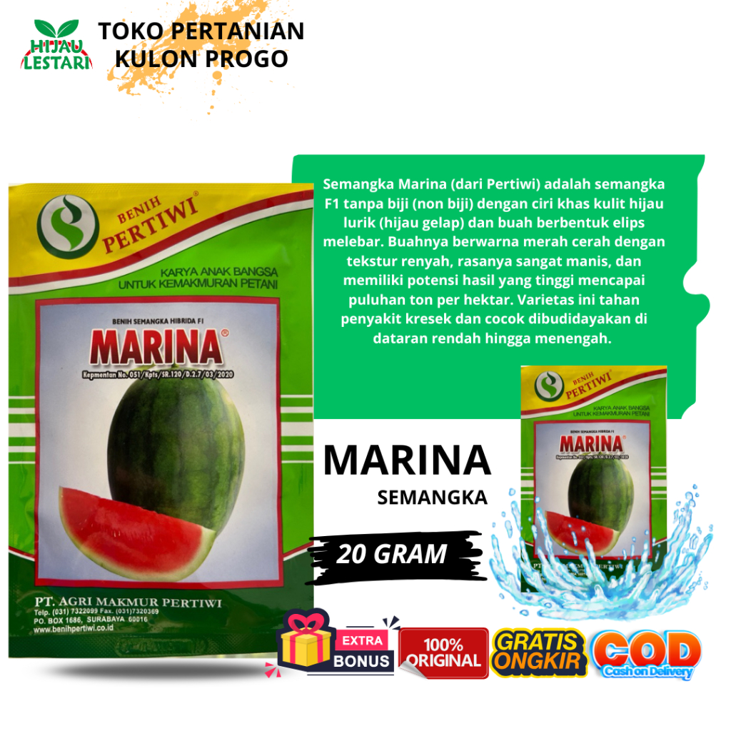 MARINA 20gr - Benih Semangka Hibrida F1 - ORIGINAL Benih Pertiwi