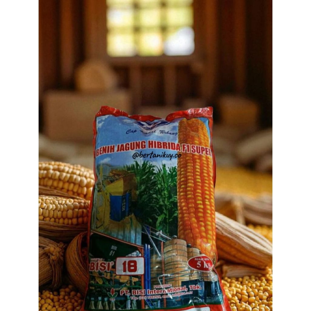 

BENIH JAGUNG HIBRIDA BISI 18 F1 SUPER KEMASAN 5 KG ORIGINAL