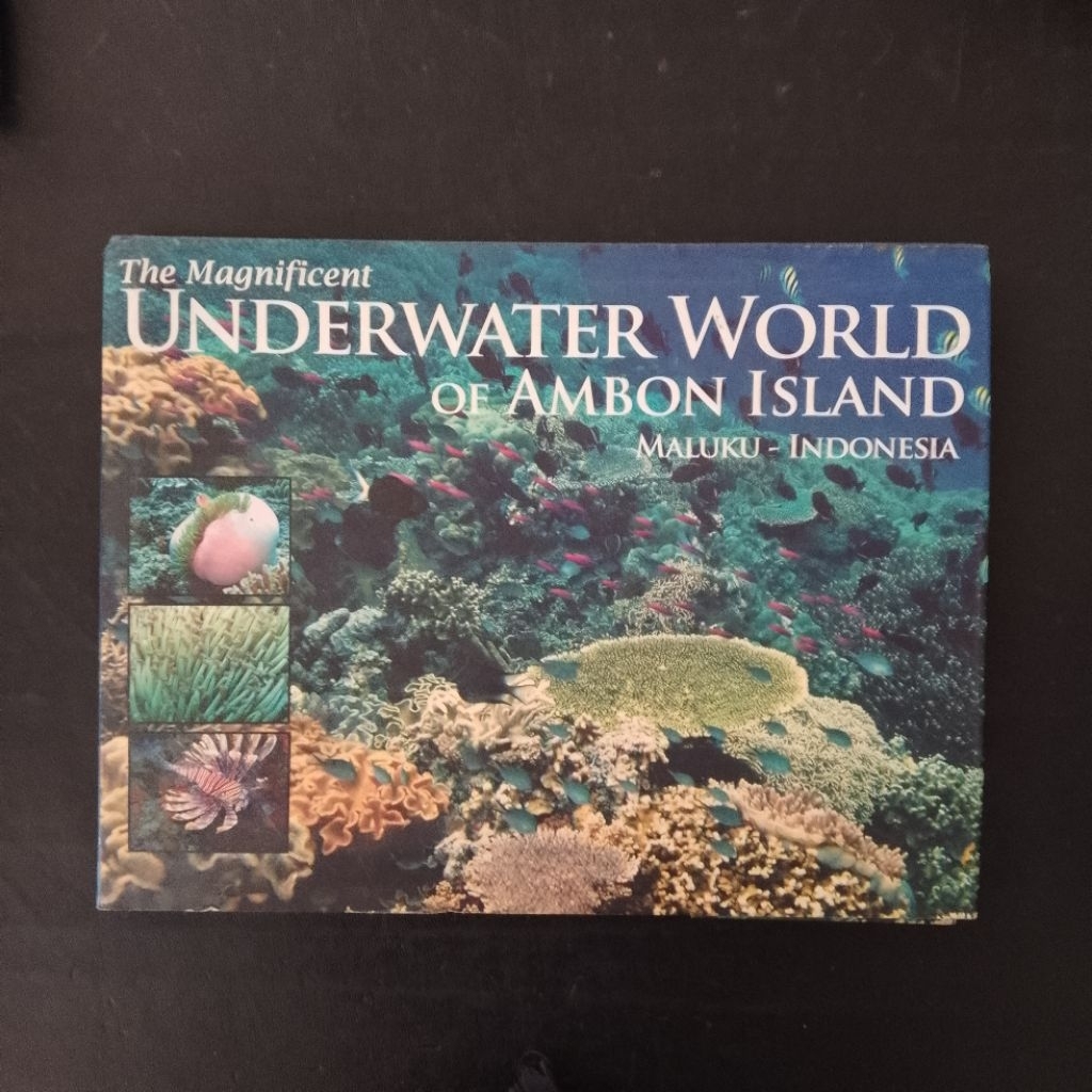 The Magnificient Underwater World of Ambon Island (Maluku-Indonesia)