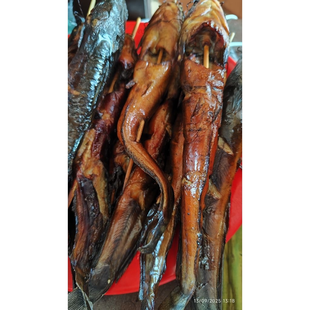 

LELE ASAP VACUM ISI 3 SIAP GORENG