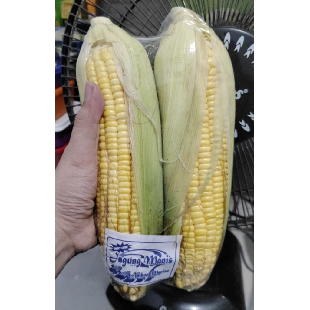 

Jagung Manis