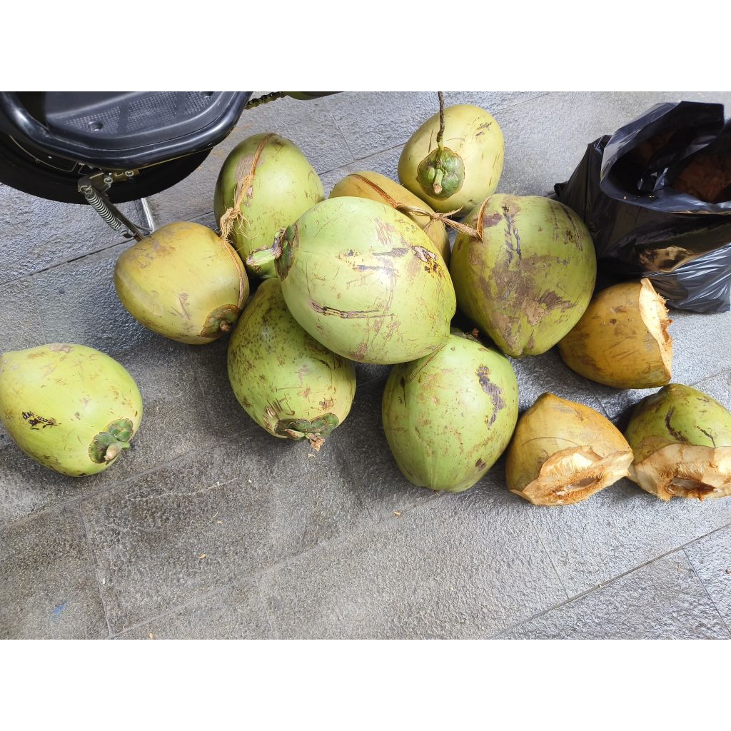 

Kelapa Hijau Utuh (batok kelapa utuh)