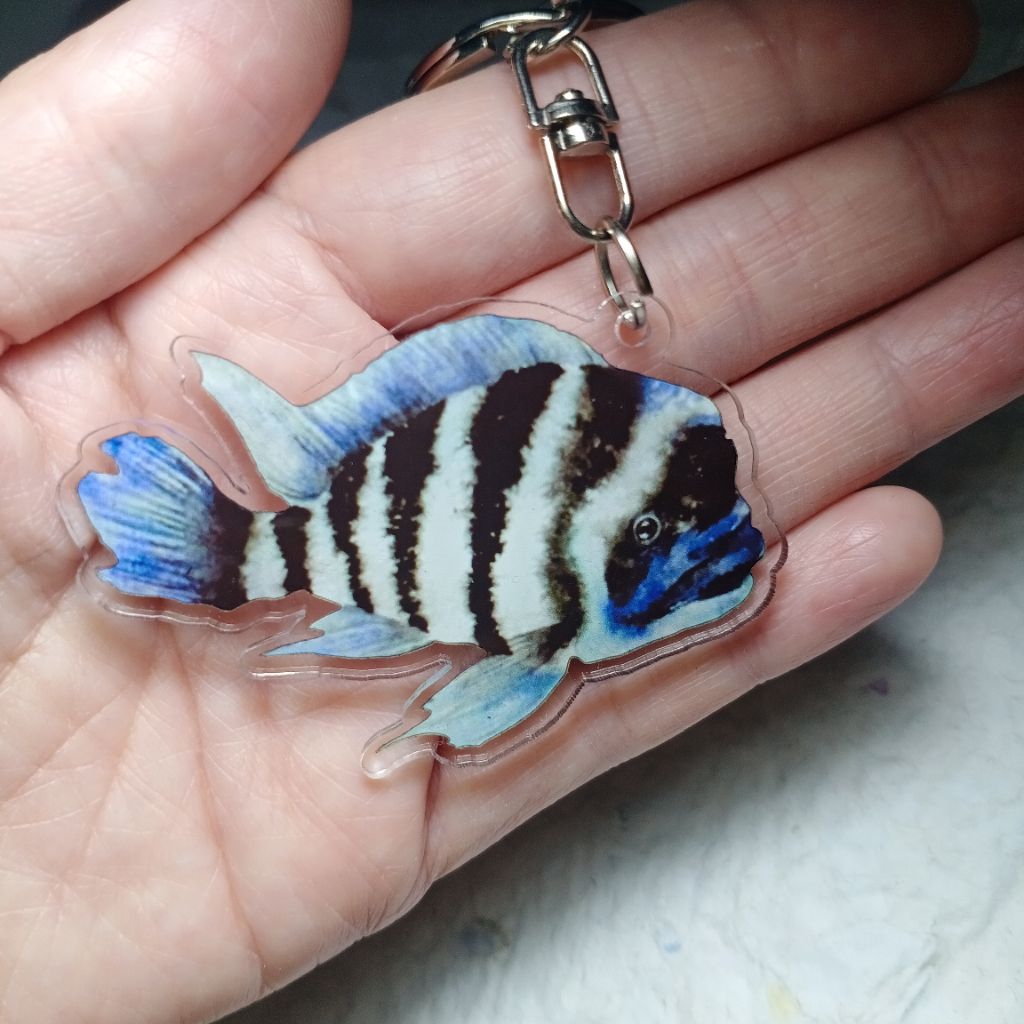 ganci ikan cichild / keychain gantungan kunci cichild / ikan cichild fish