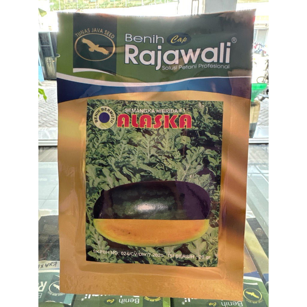 Benih Semangka Hibrida F1 Alaska Cap Rajawali
