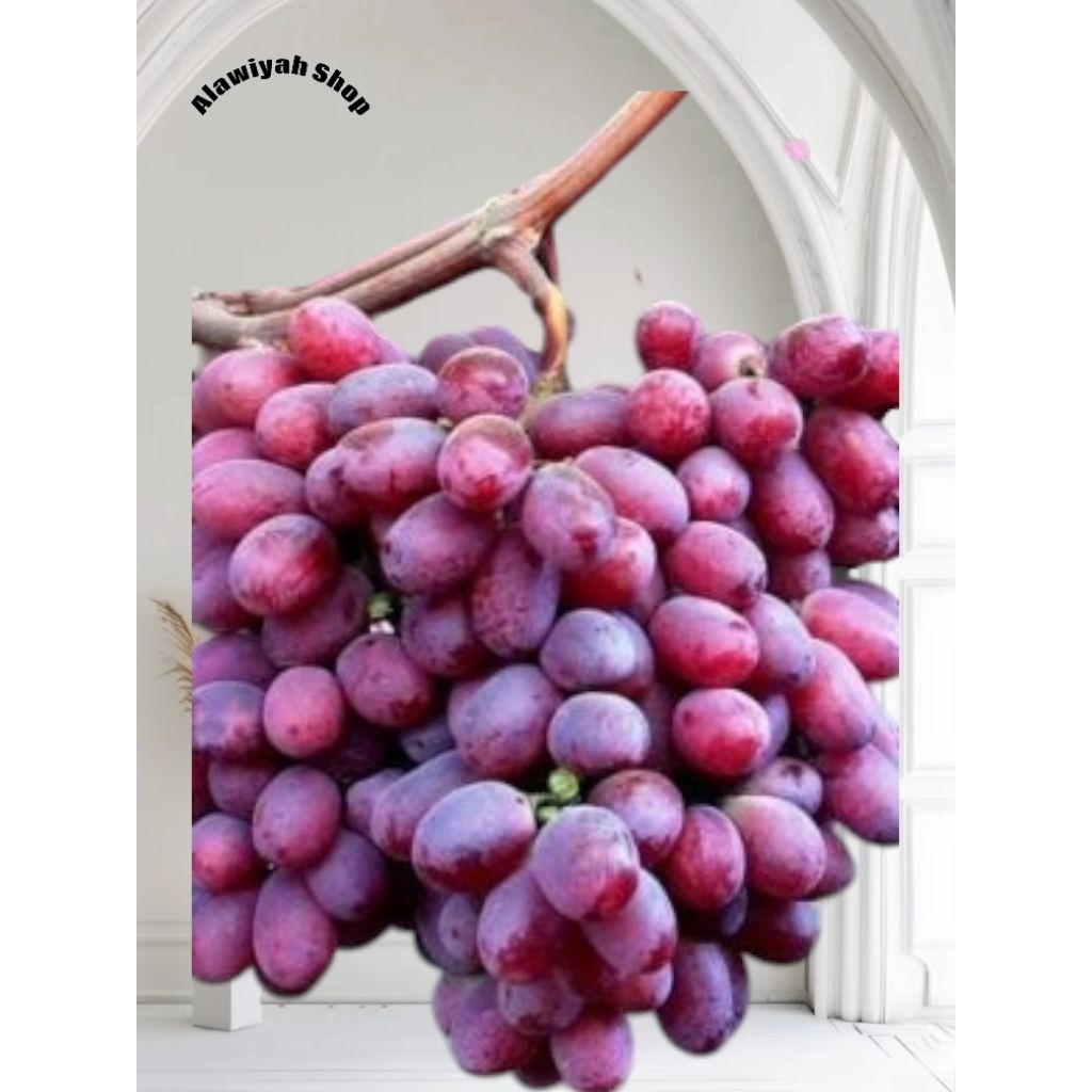 

Anggur Fresh RedRose 1 Kg