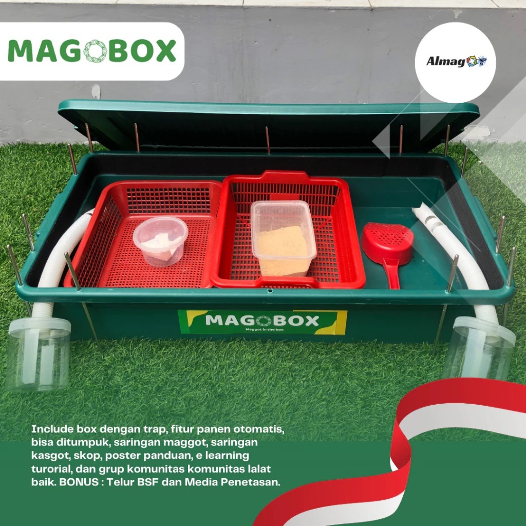 Bundling Magobox Fullset dan Kandang BSF Rangka Lengkap Budidaya Maggot Dirumah