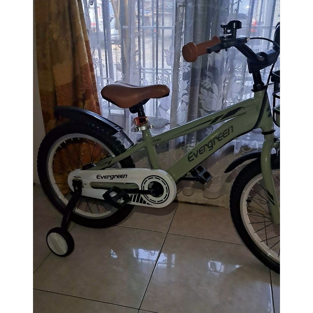 sepeda anak evergreen 18