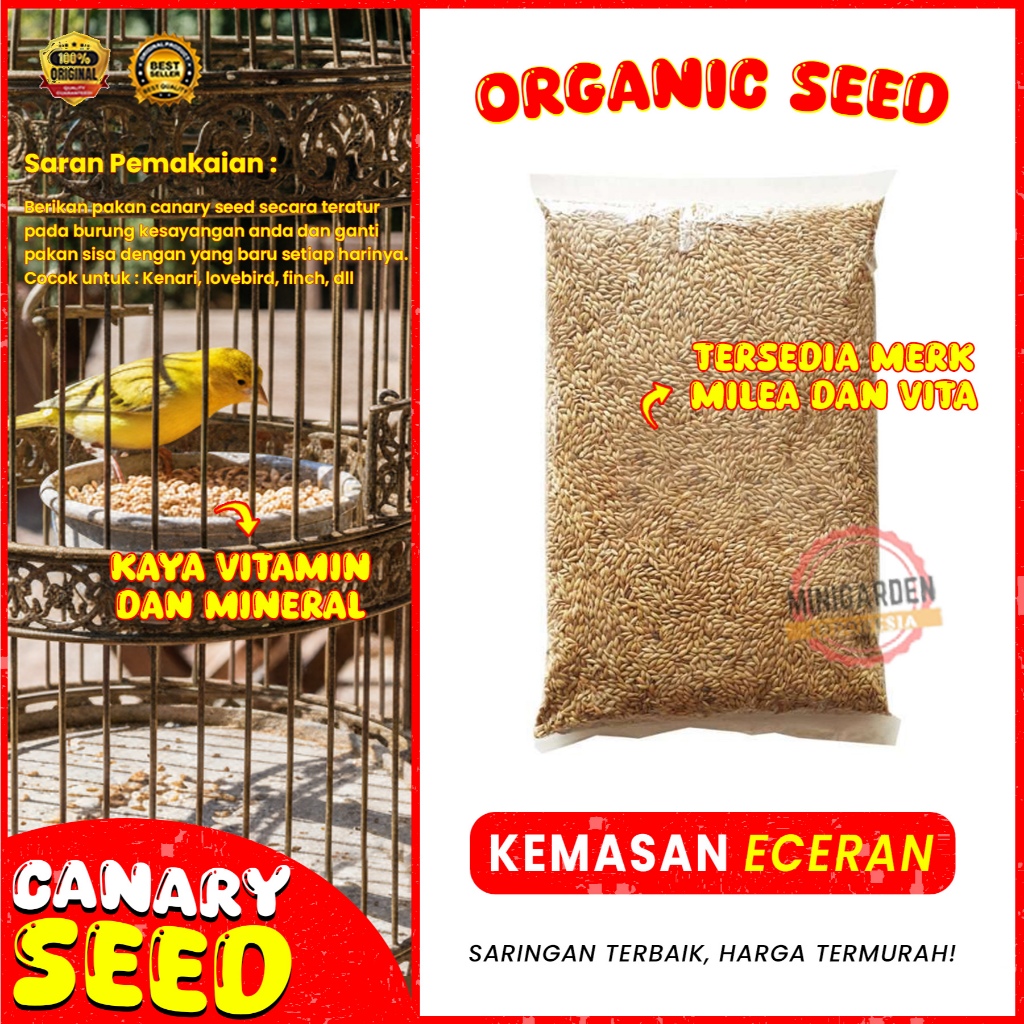 PAKAN BURUNG KENARI CANARY SEED PREMIUM IMPORT organic seed makanan burung tinggi protein serat