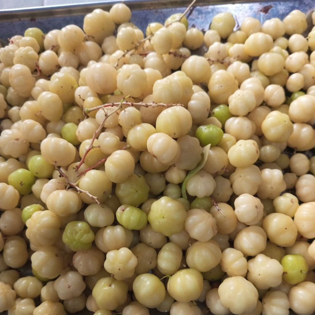 

BUAH CEREME 1 KG DI JAMIN MASIH FRESH