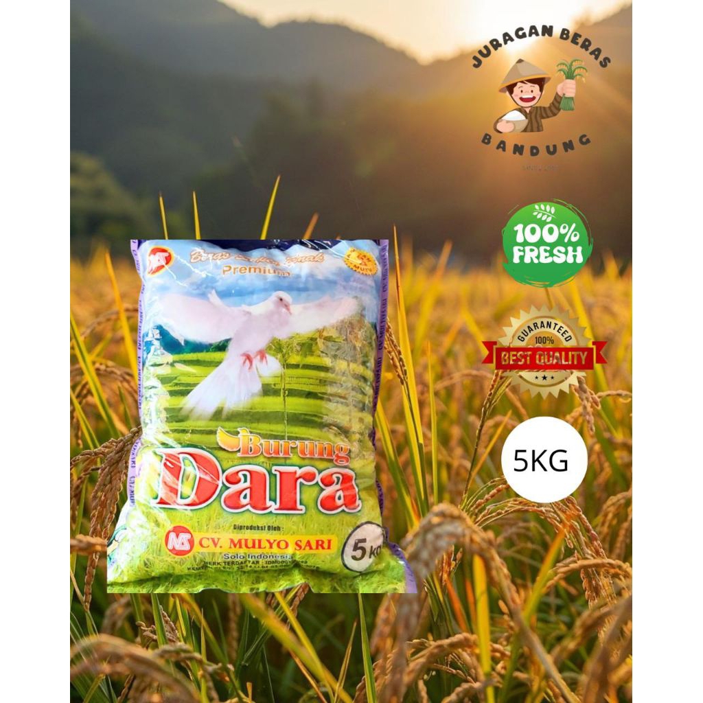 Beras Cap Burung Dara Pulen putih enak 5 Kg