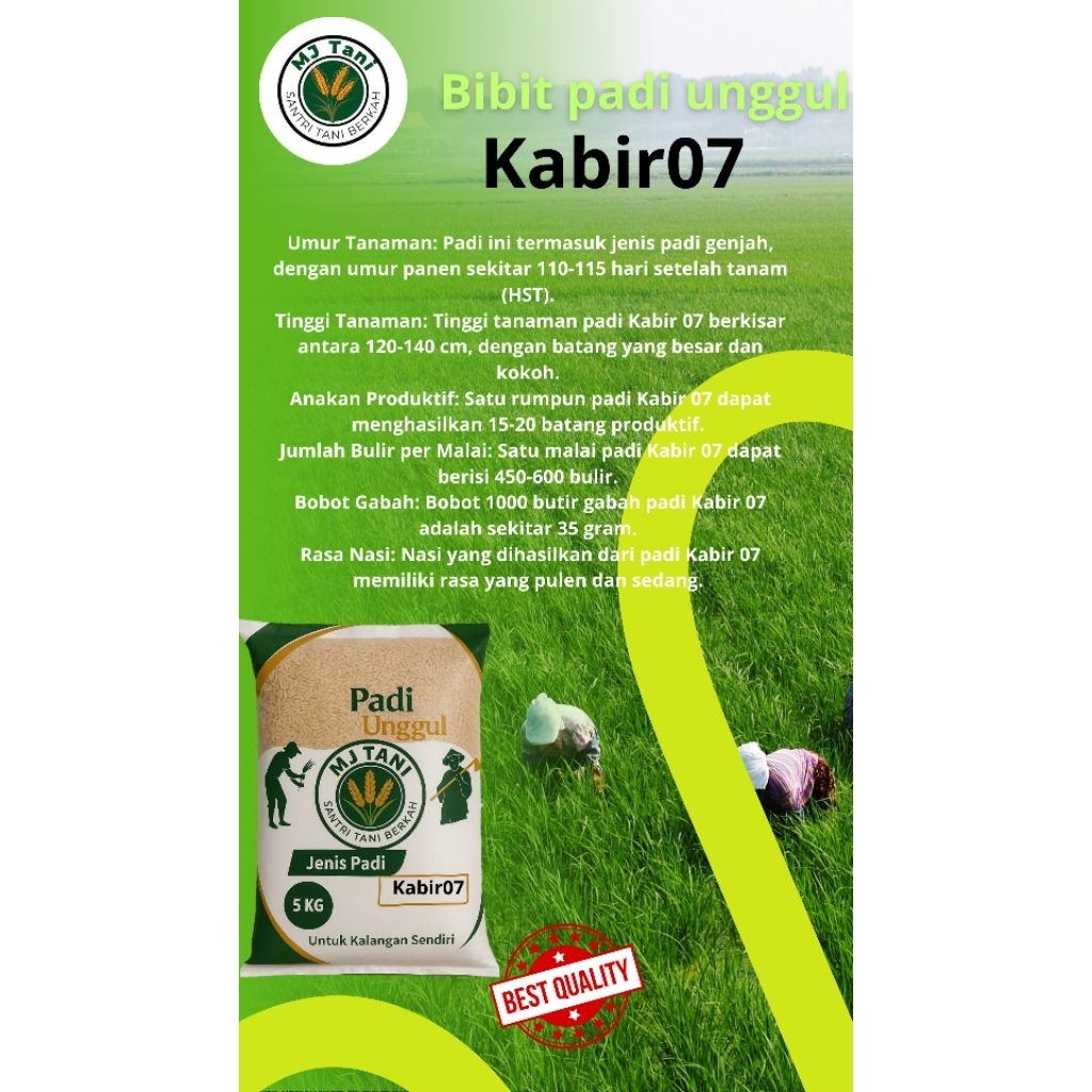 bibit padi kabir07 5kg