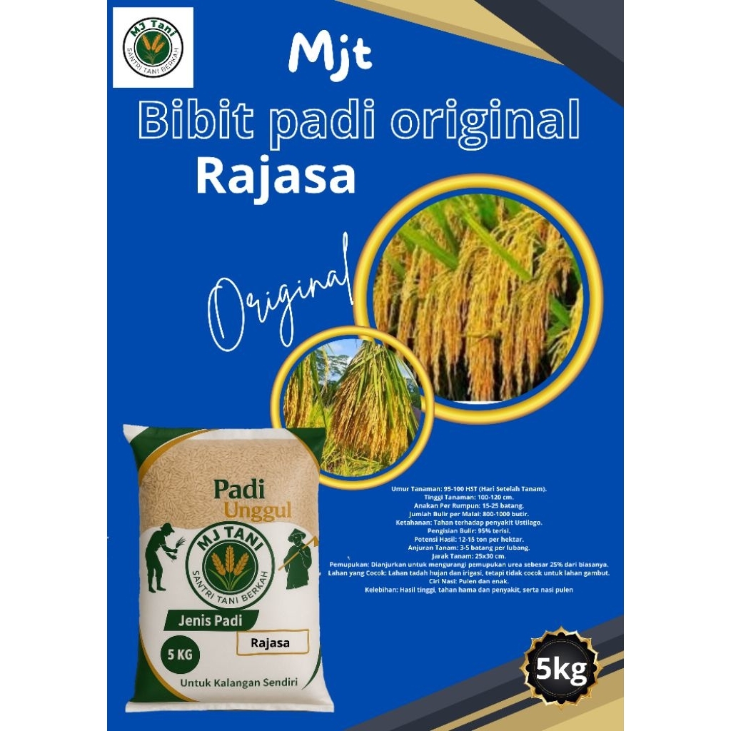 bibit padi RAJASA 5KG TERBARU