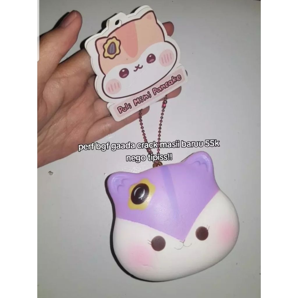 poli pancake rare squishy perf condii