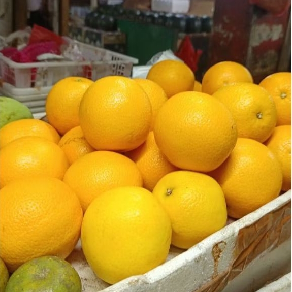 

Jeruk Sunkist / Navel - 1 KG