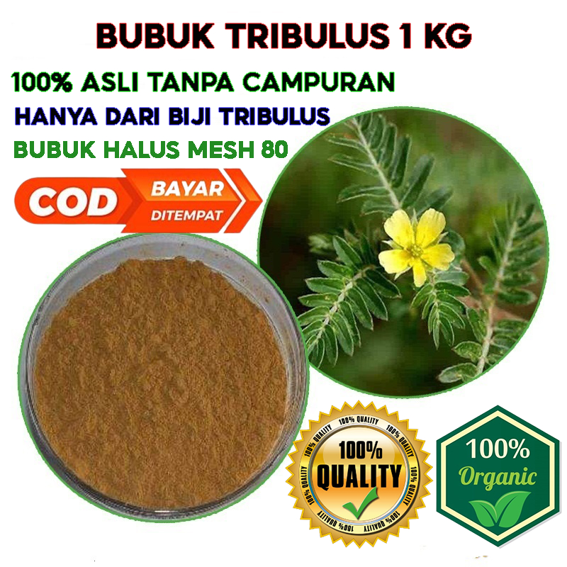 Tribulus Bubuk 1 Kg - Tribulus Terrestris Testosteron Murni Tanpa Campuran