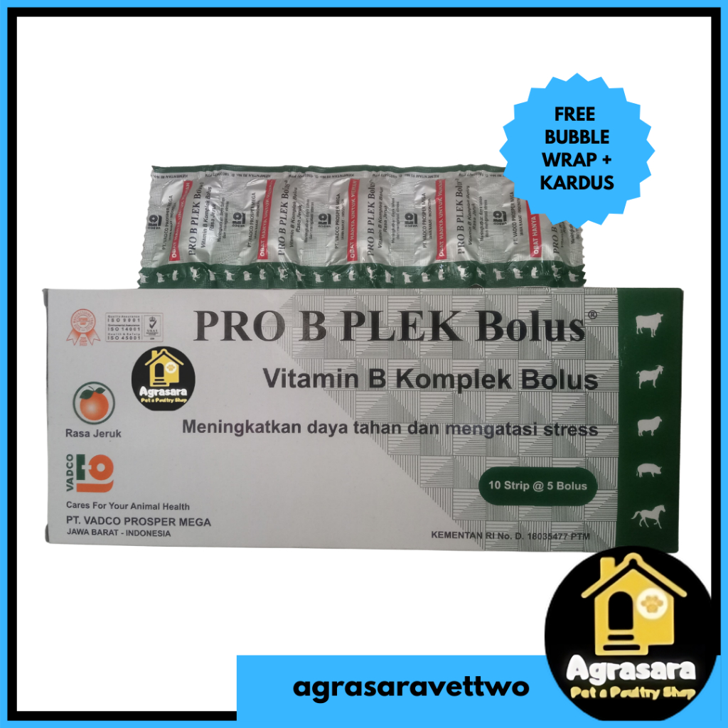 PRO B PLEK 1 BOLUS  - Vitamin B kompleks Hewan BOLUS RASA JERUK