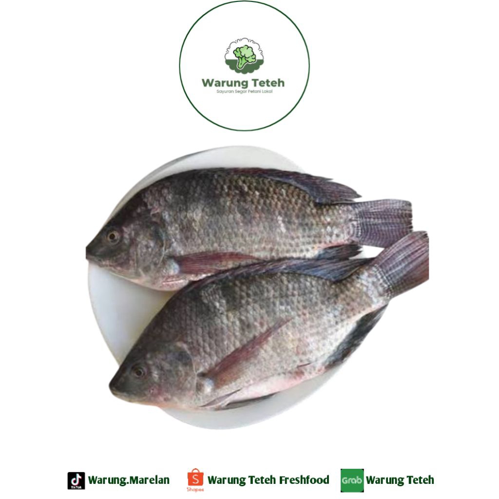 Ikan Nila Sedang Segar 500gr Medan (Dibersihkan) - Pasar Marelan