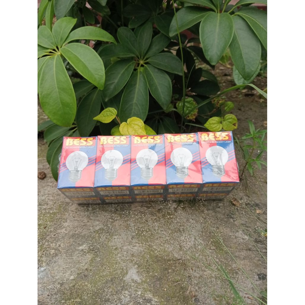 harga 10 pcs 5 wat bess lampu bohlam pijar model lama G40 bodi kecil