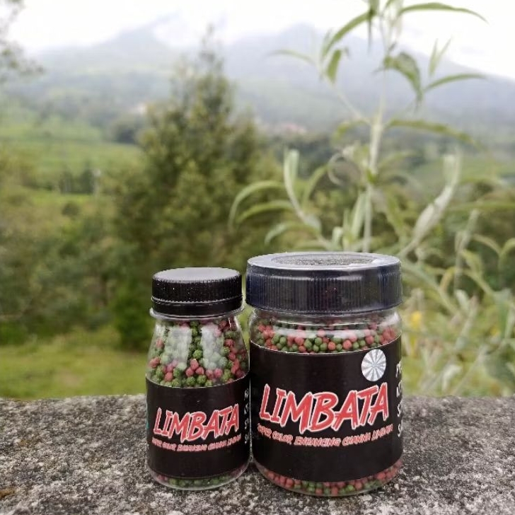 Pelet Limbata Super Color RKFish Aquatic Pakan Channa Limbata