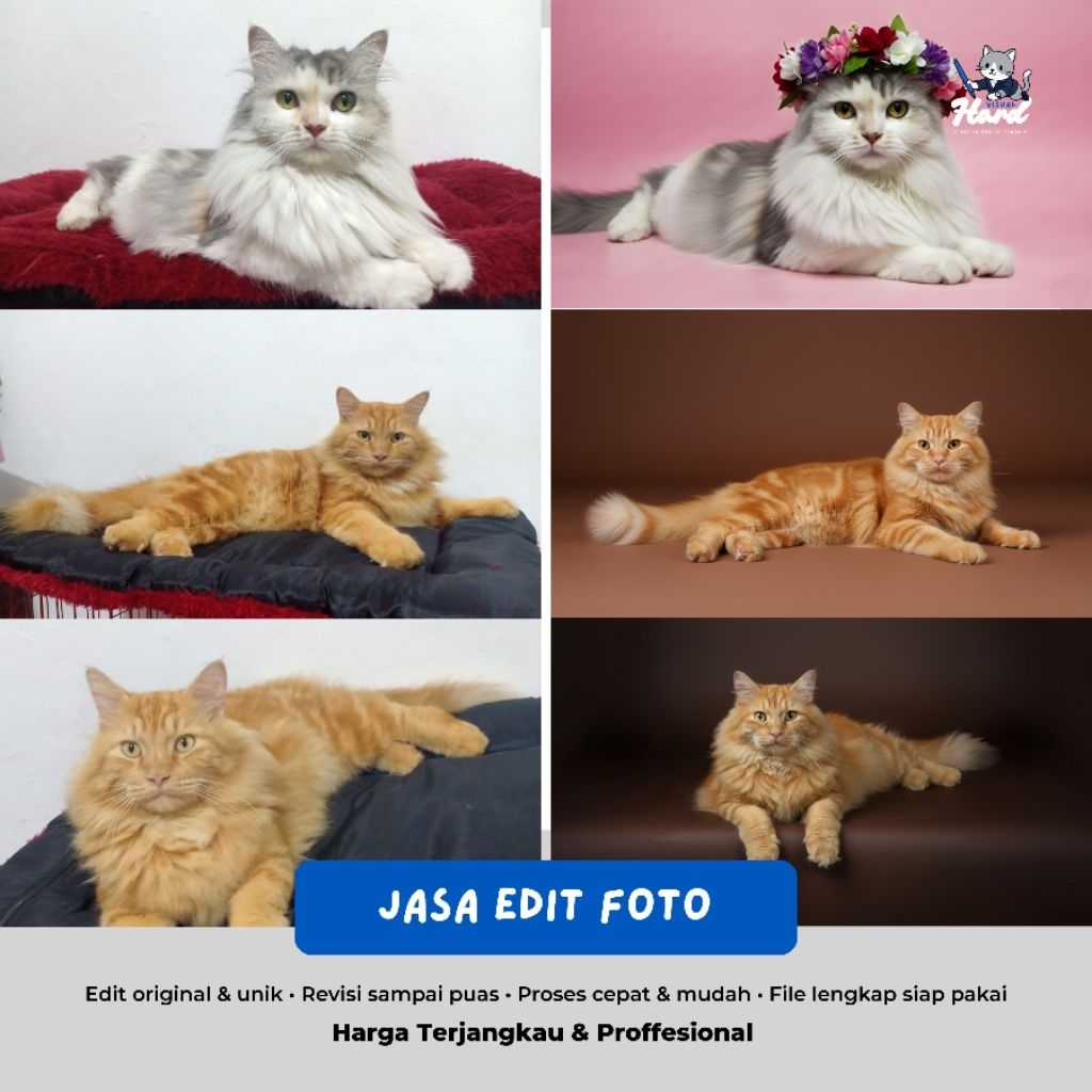 Jasa Edit Foto Profesional | Ganti Background, Ganti Baju, Hapus Objek, Edit Produk & Hewan