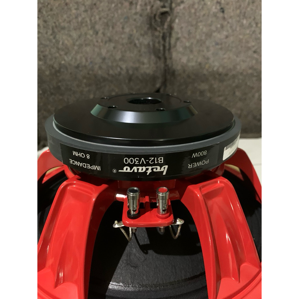 speaker Betavo b12v300