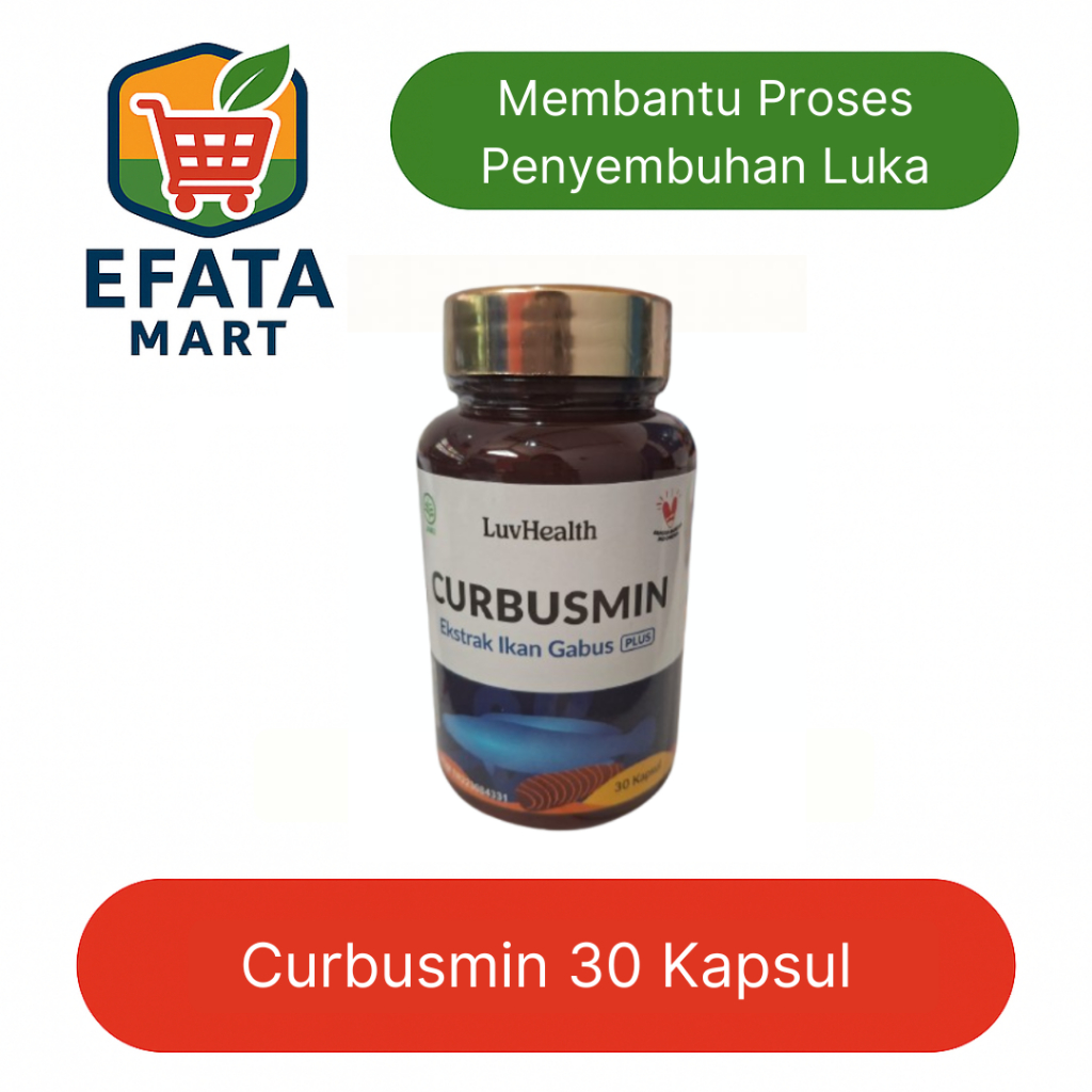 Curbusmin Ekstrak Ikan Gabus Plus – Suplemen Protein Albumin & Herbal Alami Isi 30 Kapsul