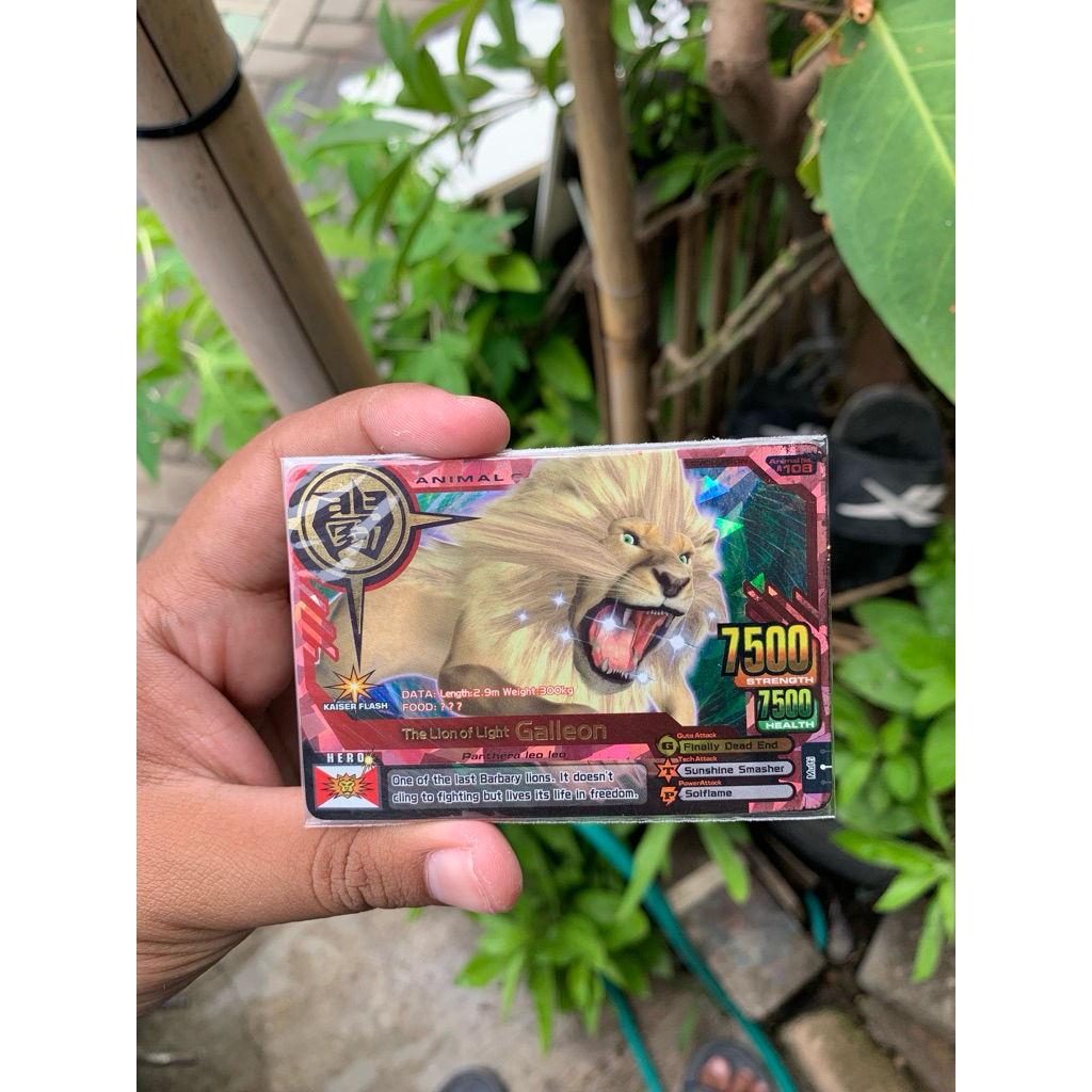 Animal kaiser Galleon