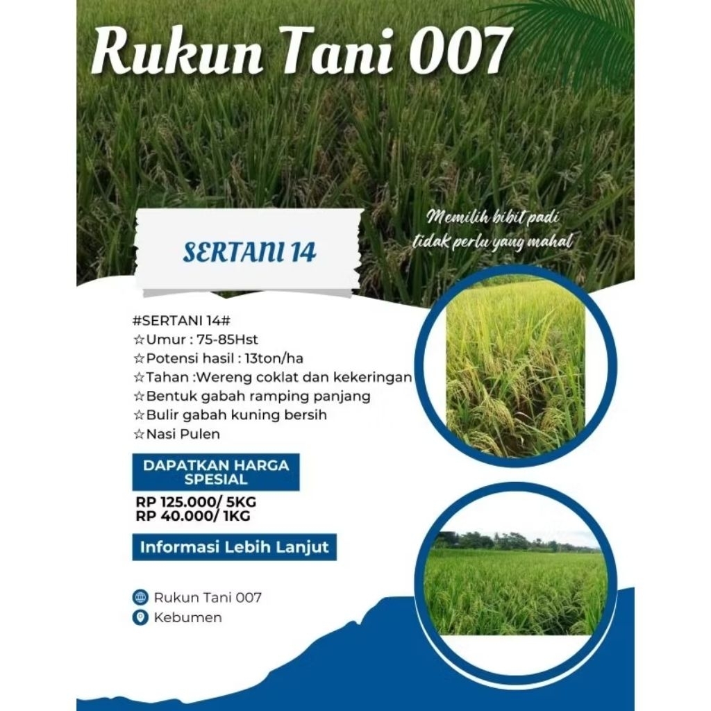 Bibit Benih Padi SERTANI 14 ORIGINAL