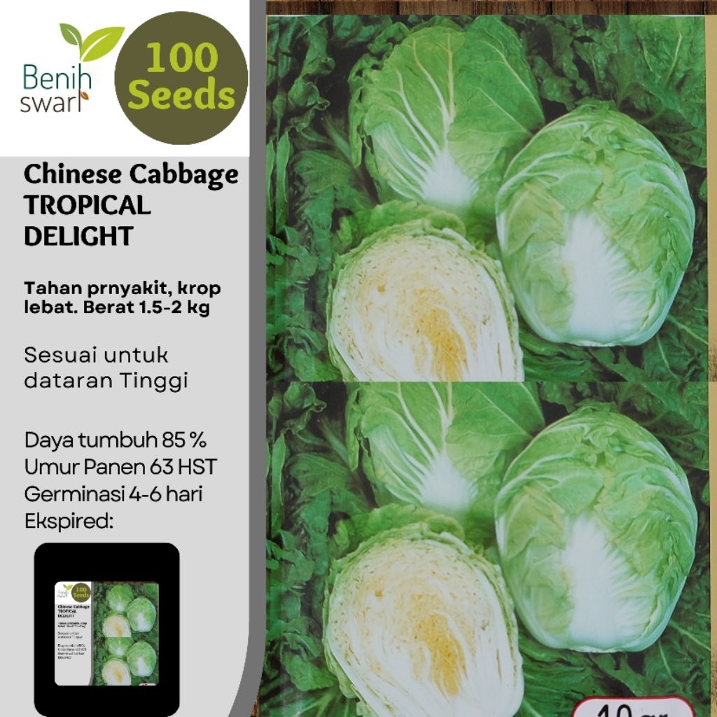 Isi 100 Butir Benih Sawi Putih TROPICAL DELIGHT