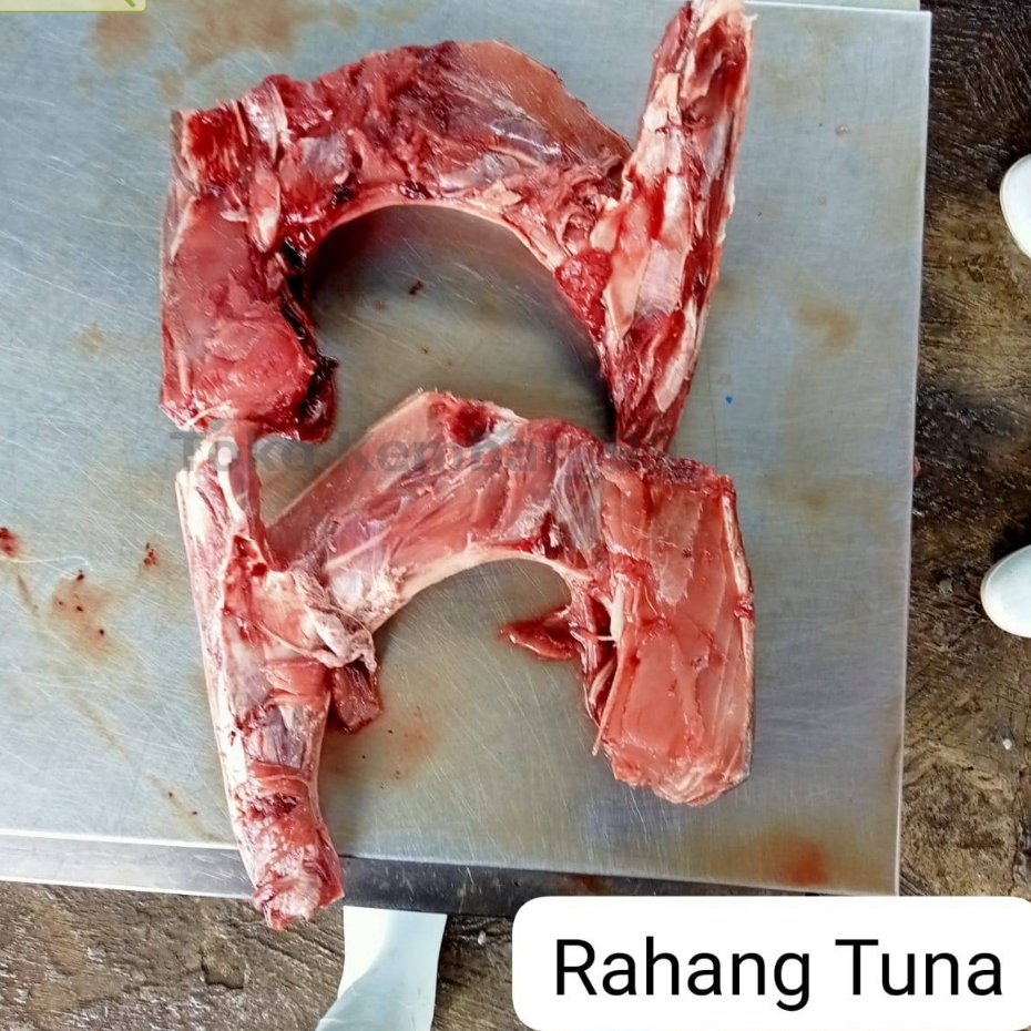 Rahang Tuna Segar Rahang Tuna 1Kg