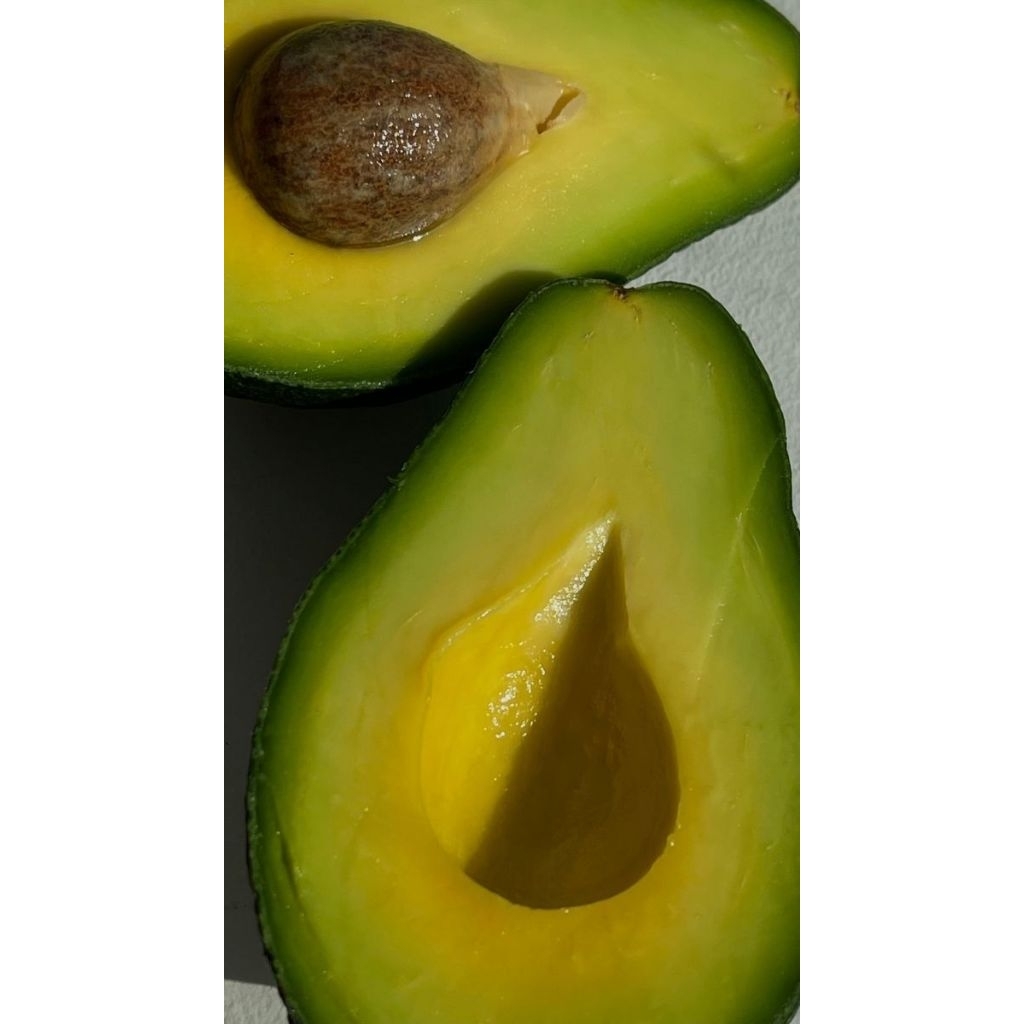 

MURAHHH BANGETTT...Apukat Mentega kualitas premium 1 Kg isi 4 5 6 7 ( GARANSI UANG KEMBALI )